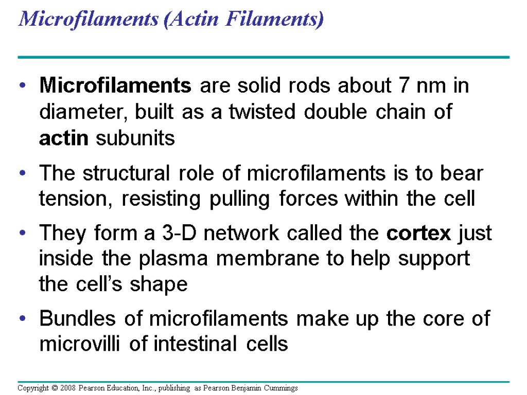 Microfilaments (Actin Filaments) Microfilaments are solid rods about 7 nm in diameter, built as